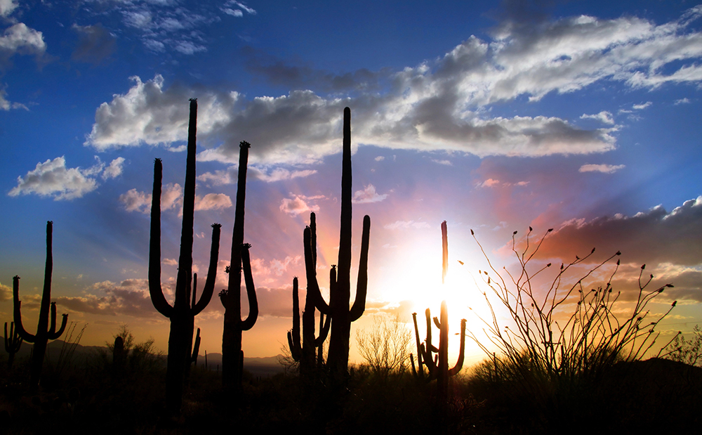How to Skyrocket Your Business Potential: The Ultimate Guide to Franchise Consultants